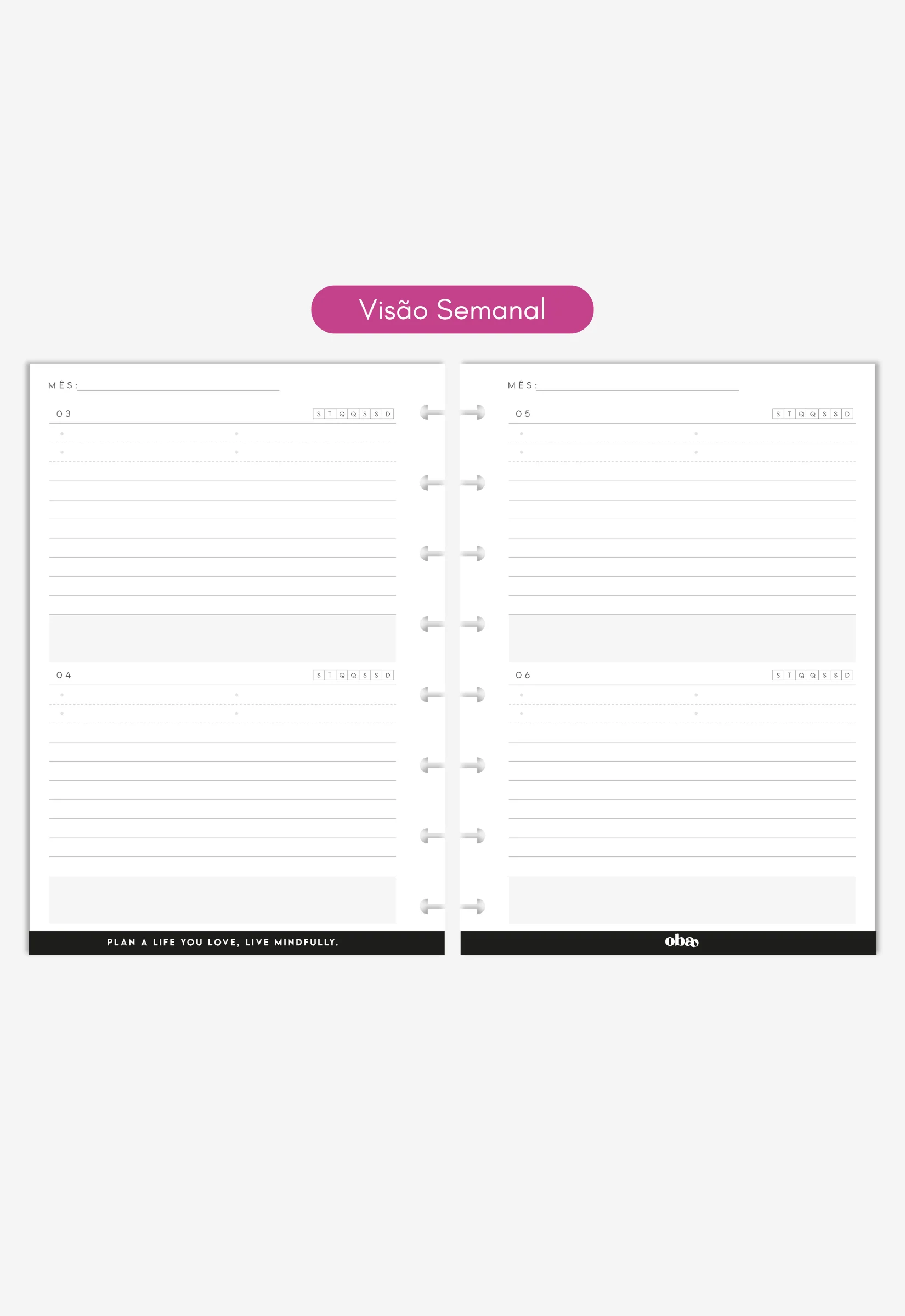 Miolo - Agenda (6 Meses) - Image 6