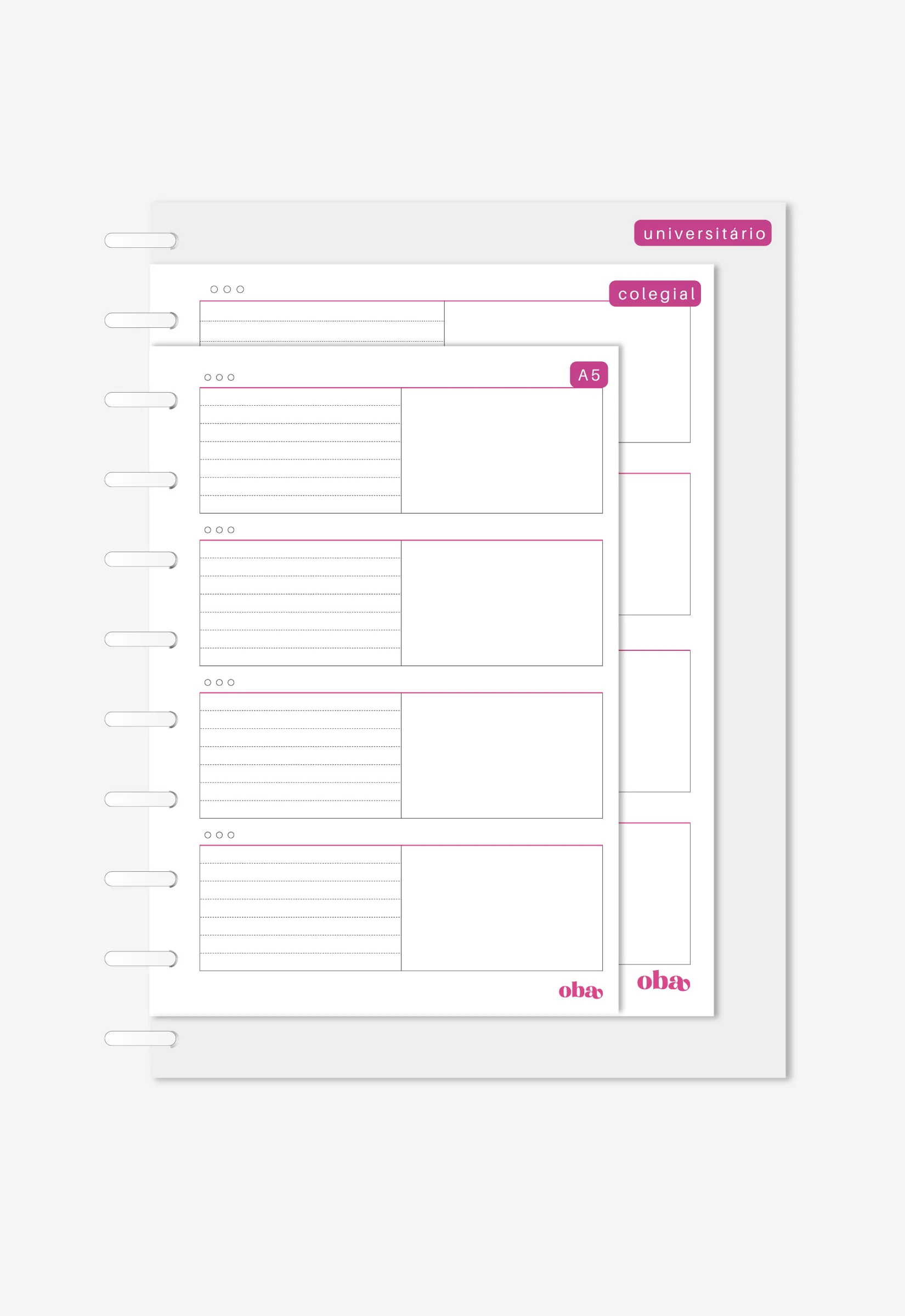Miolo - Framework - Image 3