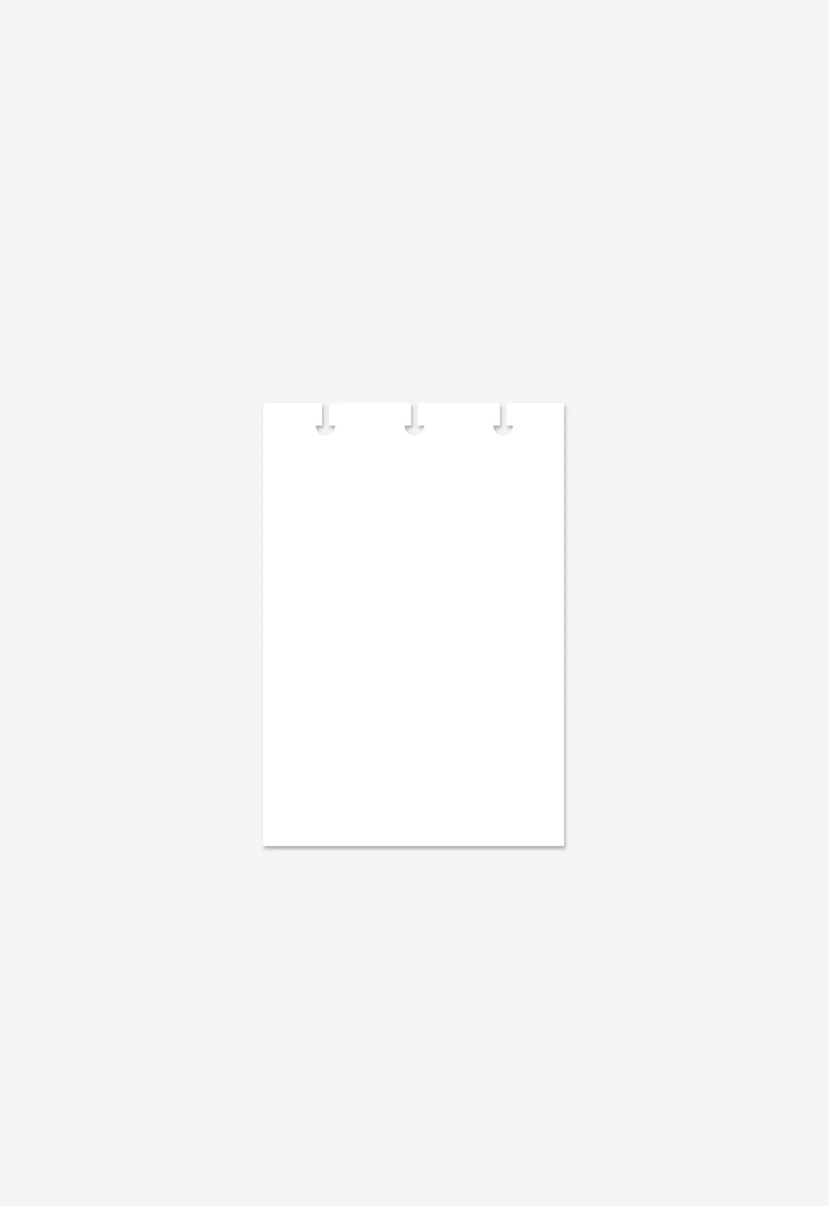 Miolo - Liso Branco - Image 4