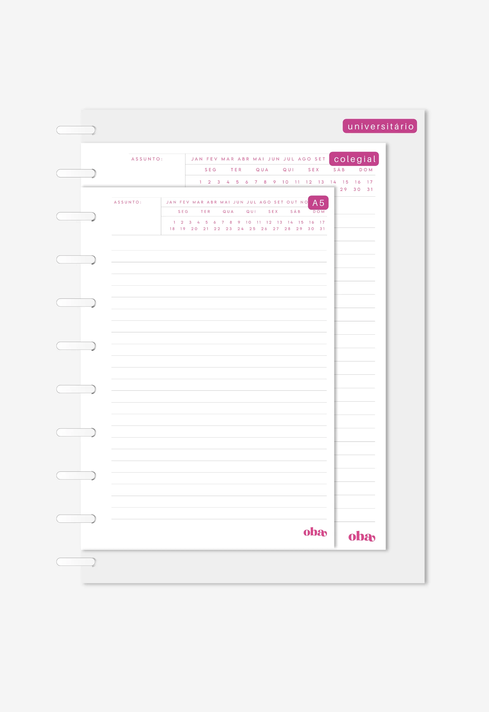 Miolo - Notas Executivas - Image 3