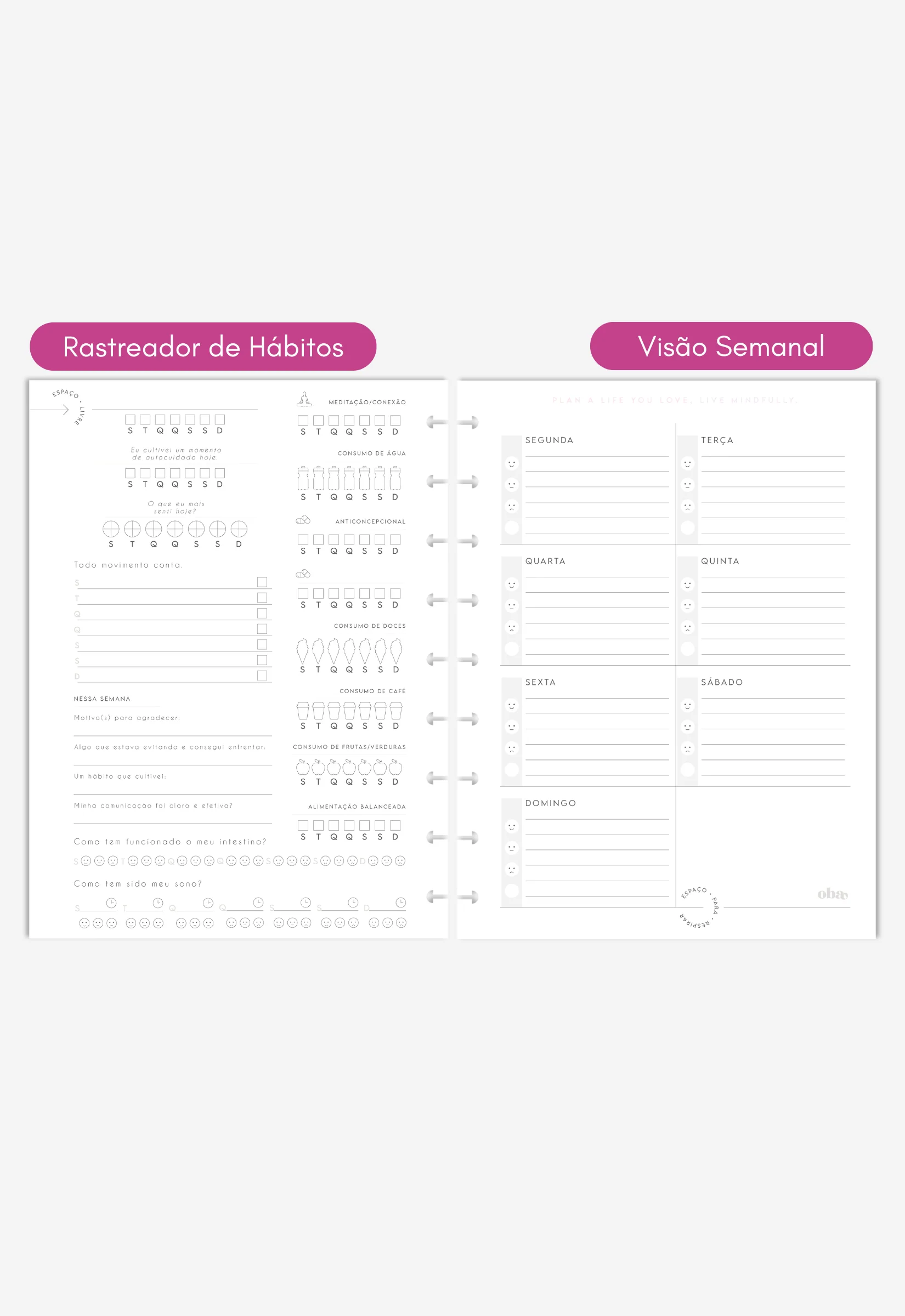 Miolo - Wellness Planner (6 meses) - Image 6