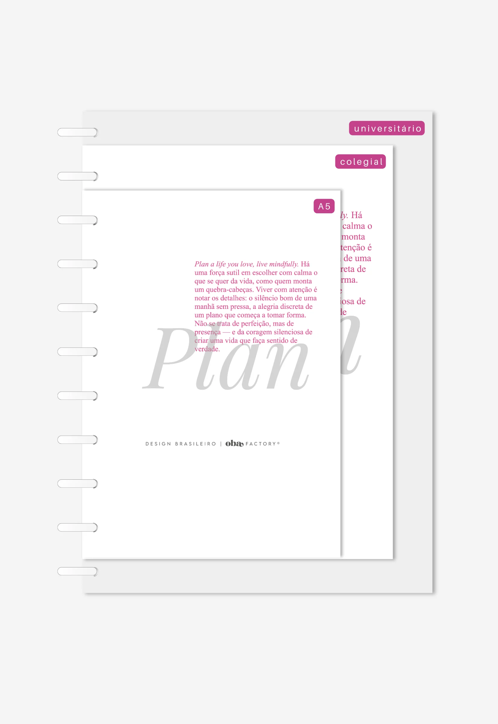 Miolo - Overview Anual - Image 11