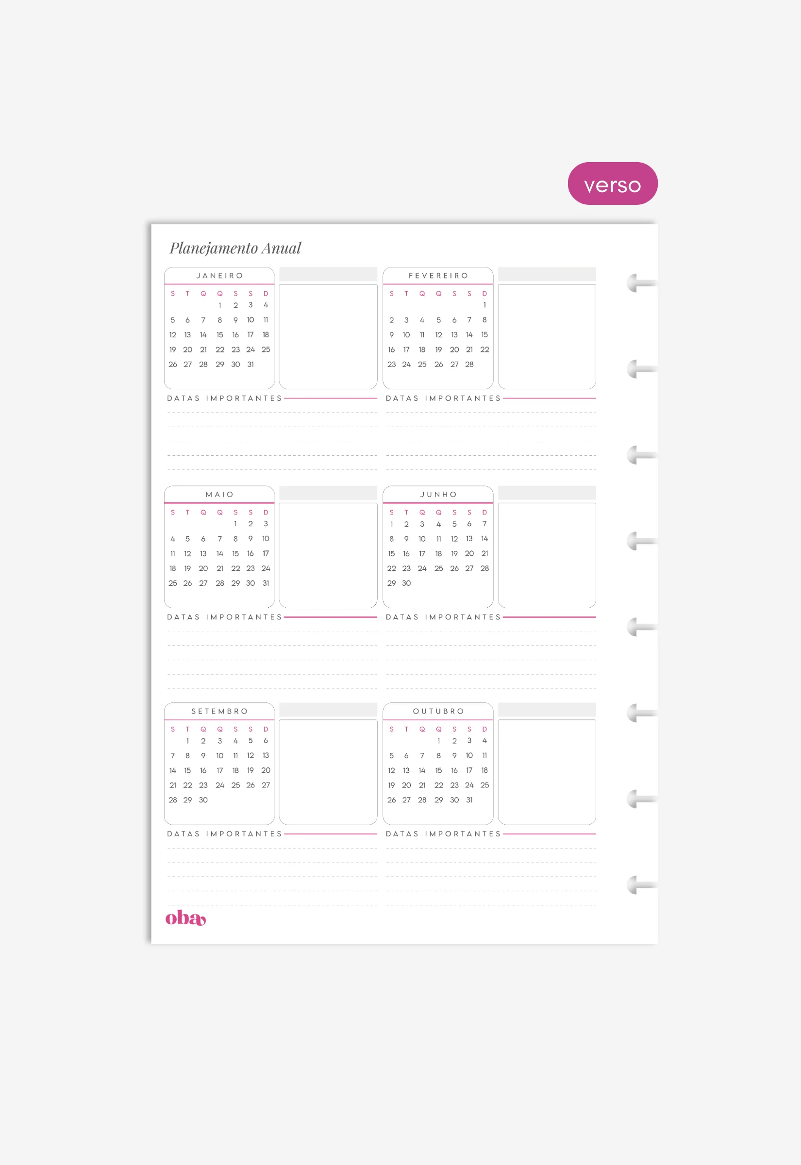 Miolo - Overview Anual - Image 8
