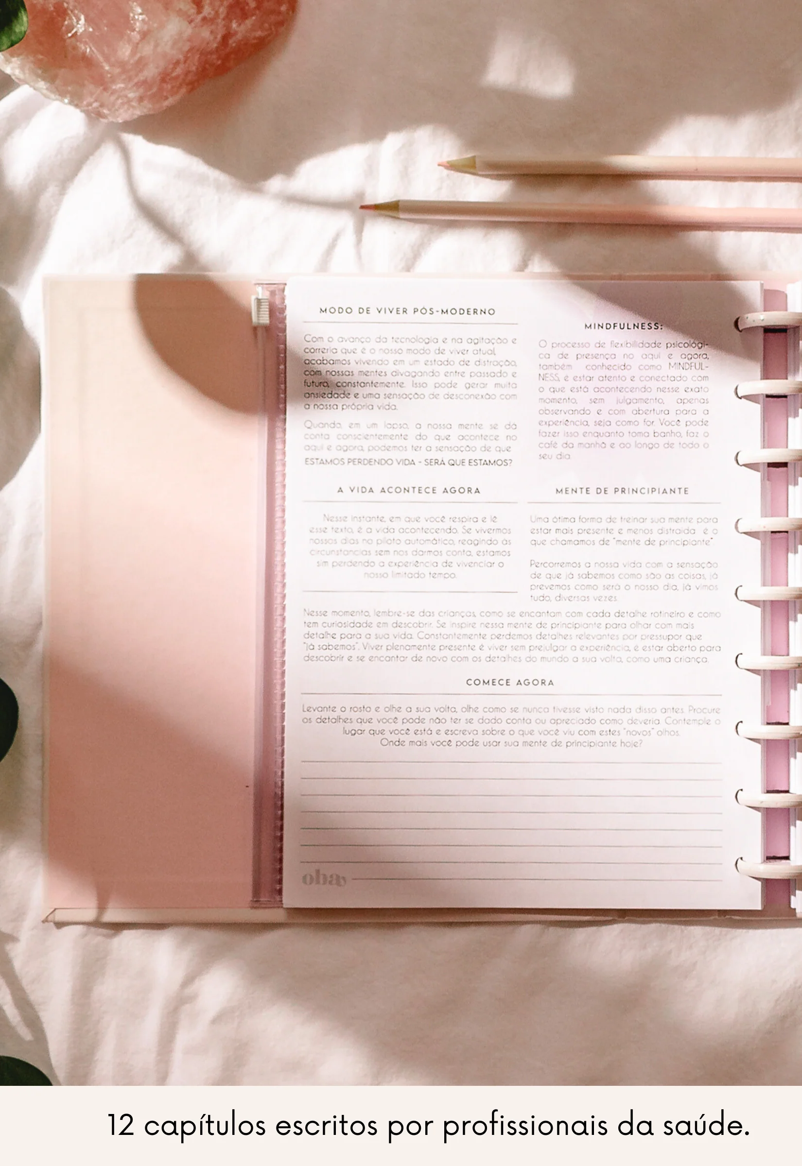 Wellness Planner - Image 4