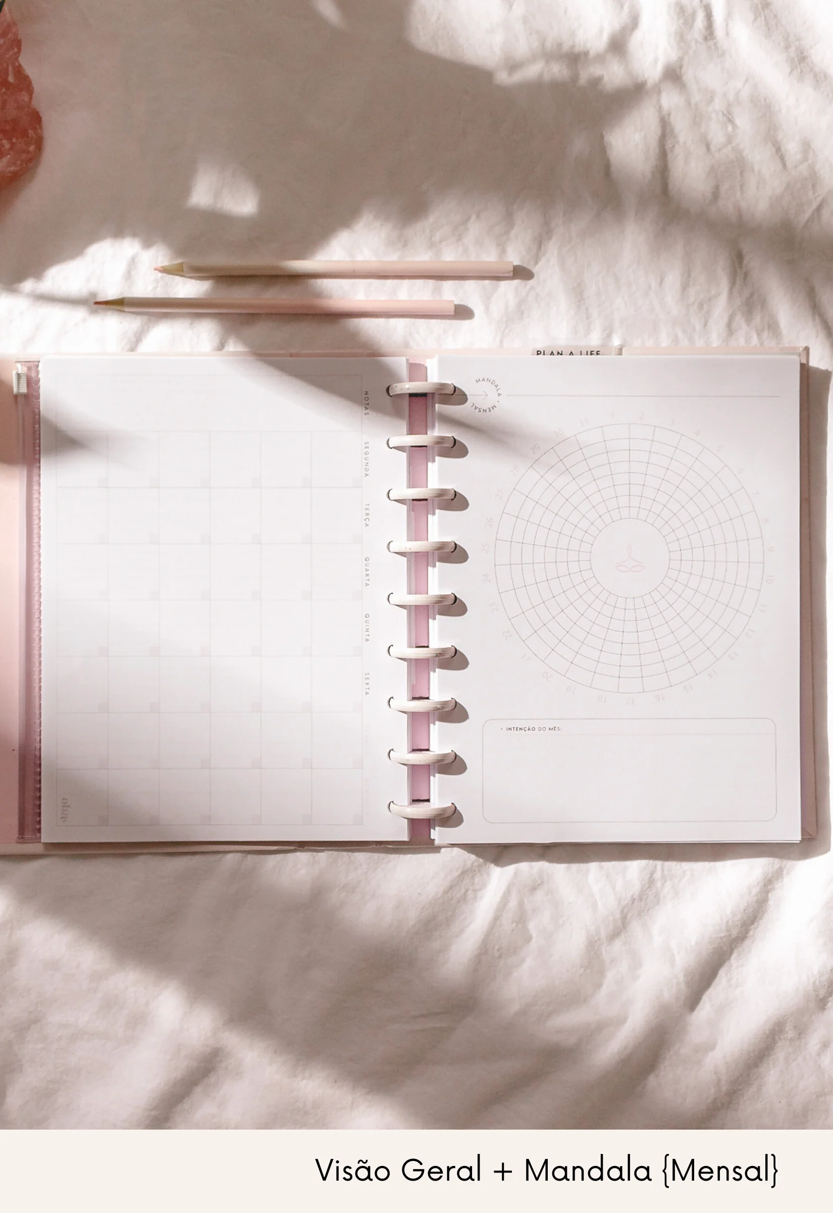 Wellness Planner - Image 5